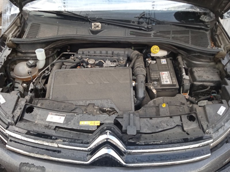 citroën c4 cactus del año 2019