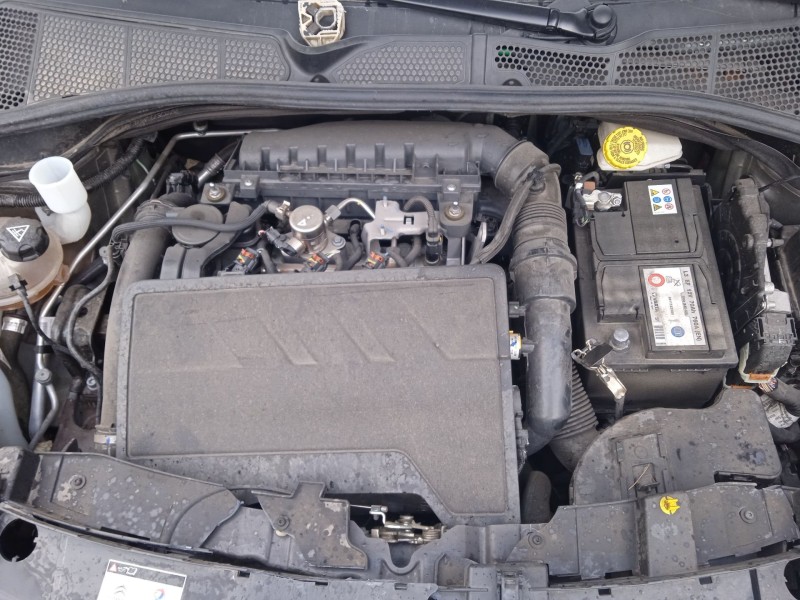 citroën c4 cactus del año 2019