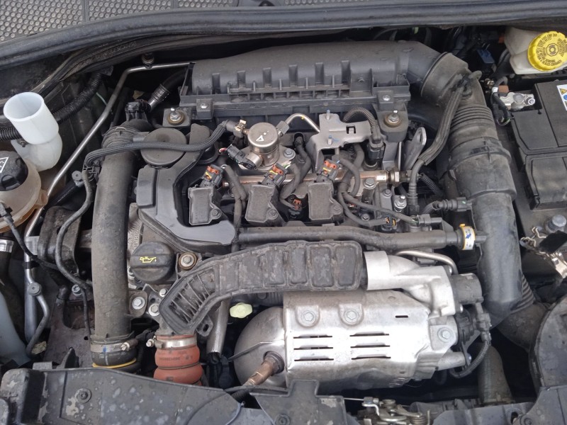 citroën c4 cactus del año 2019