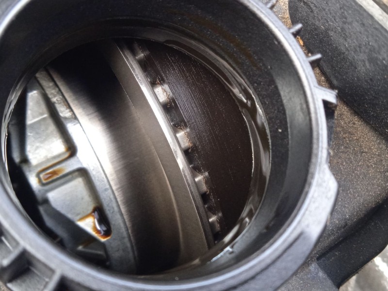 citroën c4 cactus del año 2019