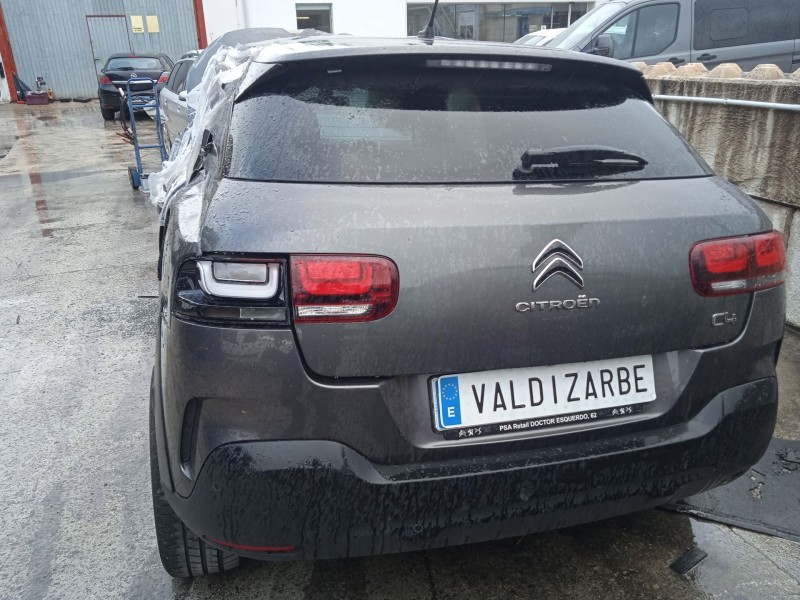 citroën c4 cactus del año 2019