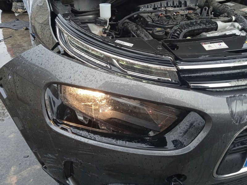 citroën c4 cactus del año 2019