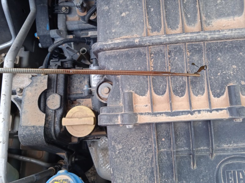 fiat 500 (312_) del año 2017