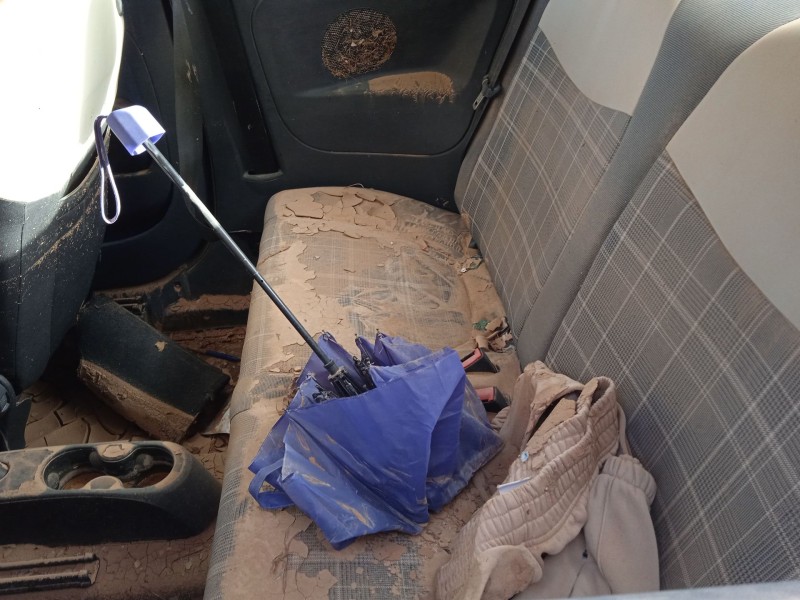 fiat 500 (312_) del año 2017