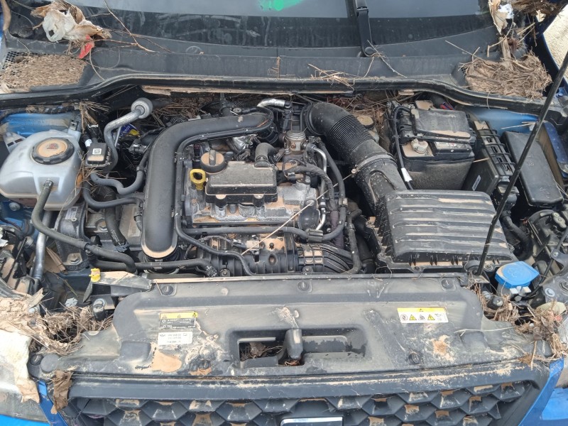 seat arona (kj7, kjp) del año 2021