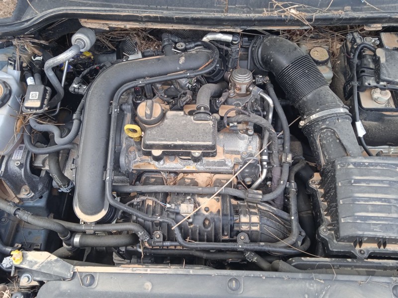 seat arona (kj7, kjp) del año 2021