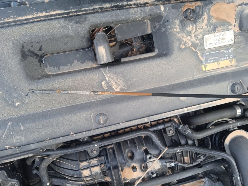 seat arona (kj7, kjp) del año 2021