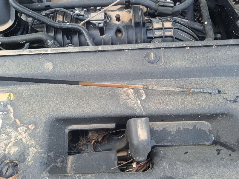 seat arona (kj7, kjp) del año 2021