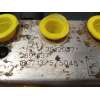 Recambio de abs para opel astra k sports tourer dynamic referencia OEM IAM 39120571 0265956573 269837