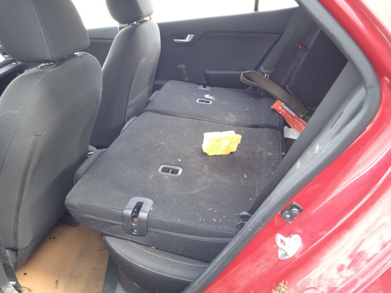 kia rio iv (yb, sc, fb) del año 2019