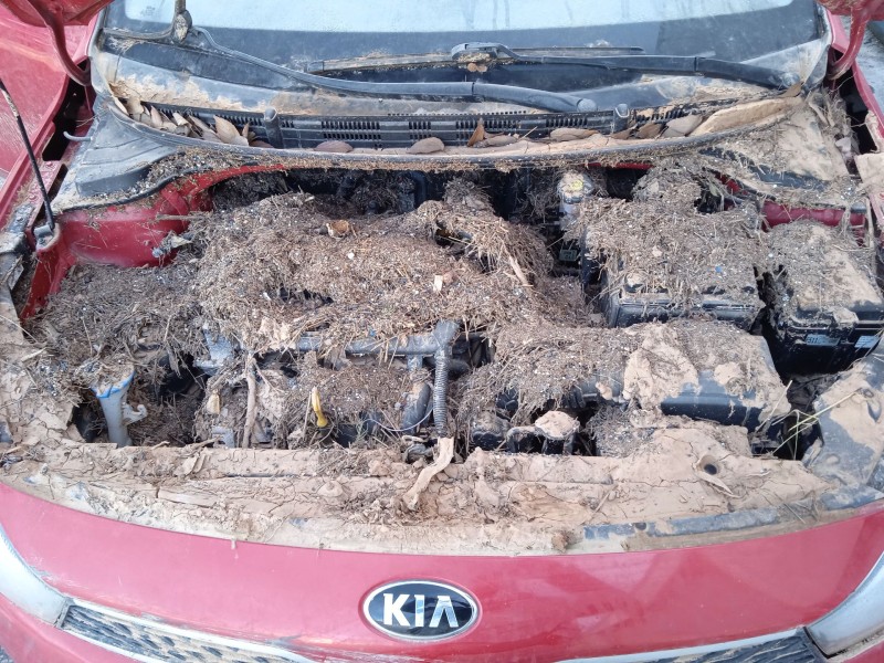 kia rio iv (yb, sc, fb) del año 2019