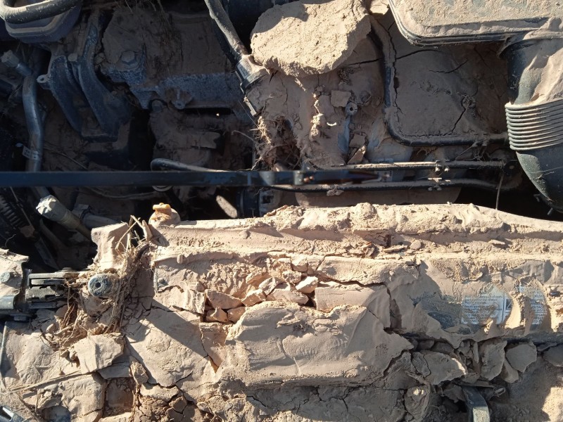 seat ibiza v (kj1, kjg) del año 2019