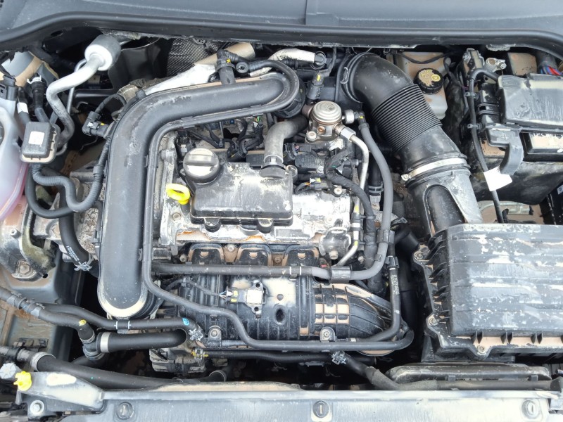 seat arona (kj7, kjp) del año 2024