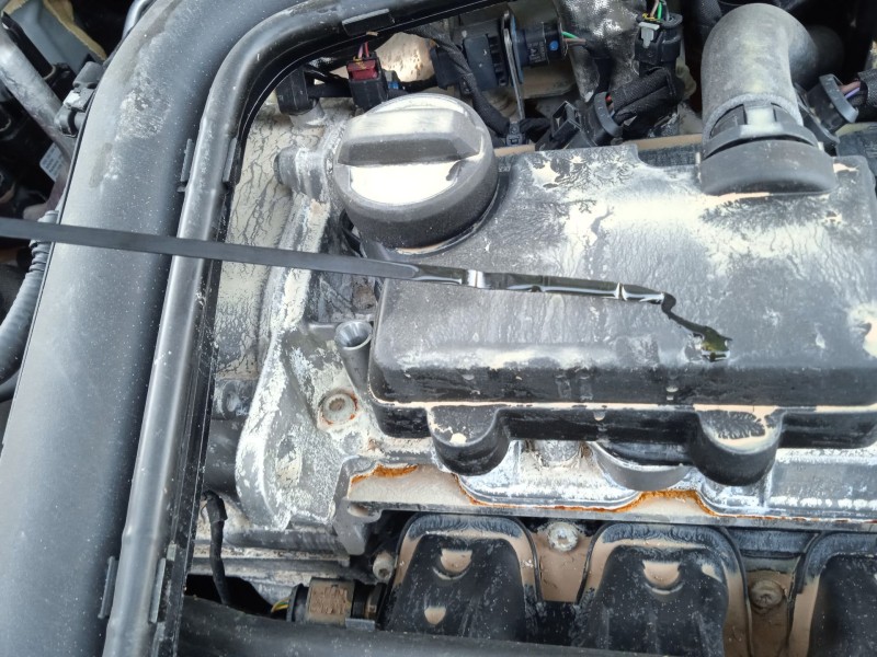 seat arona (kj7, kjp) del año 2024