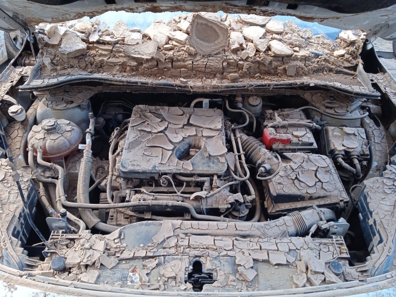 ford kuga iii (dfk) del año 2020