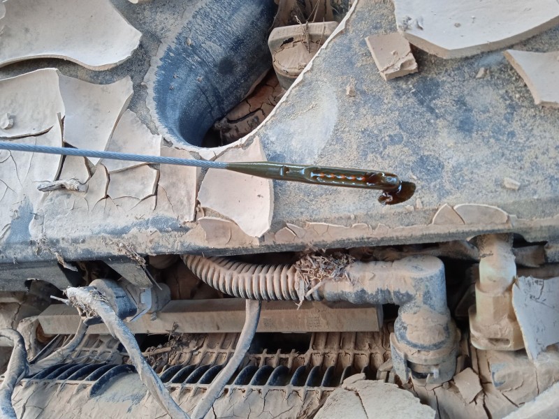 ford kuga iii (dfk) del año 2020