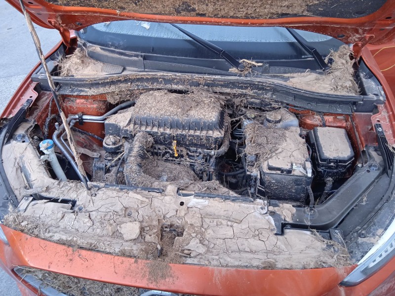 mg mg zs suv del año 2023