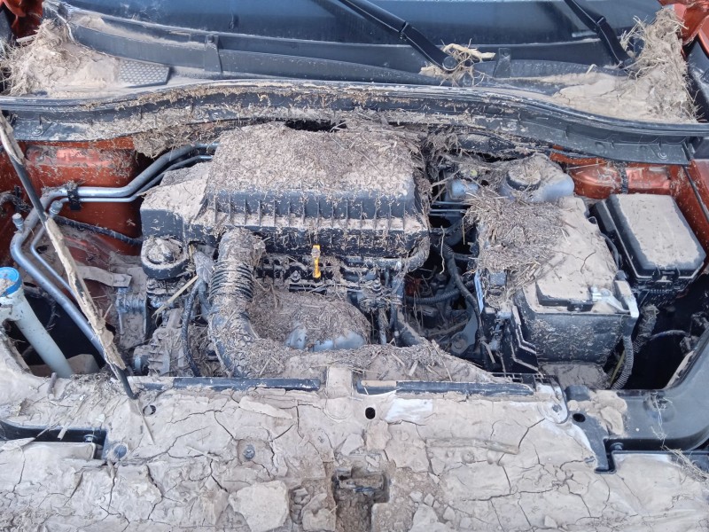 mg mg zs suv del año 2023