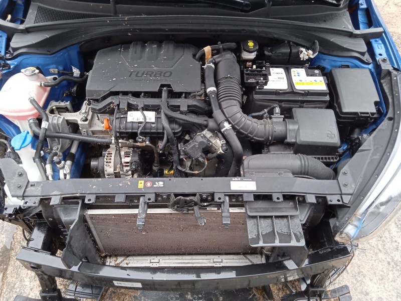 kia ceed (cd) del año 2023