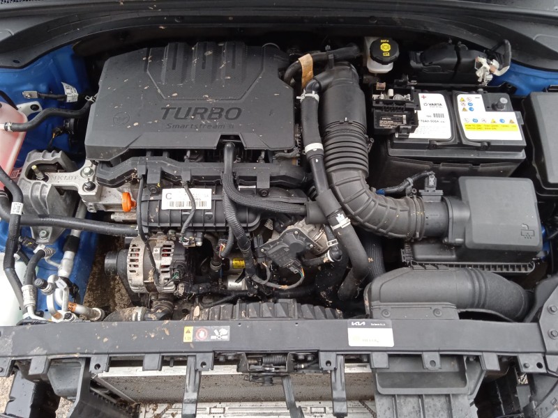 kia ceed (cd) del año 2023