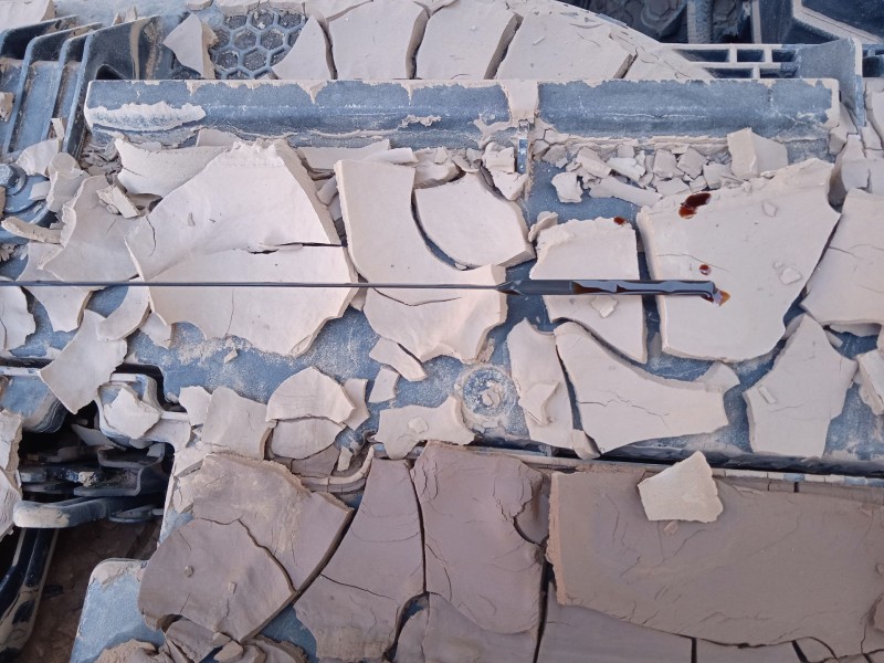 mg mg zs suv del año 2022