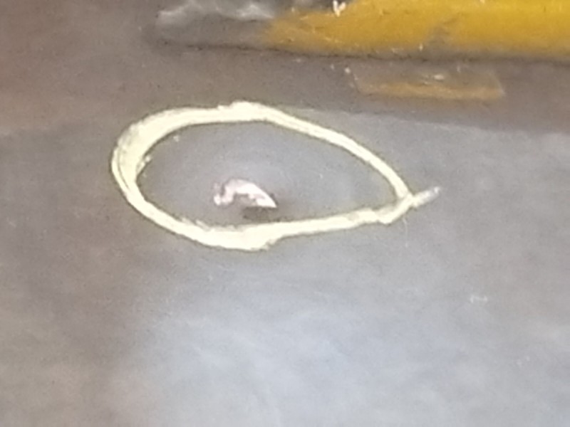 Recambio de puerta trasera derecha para ssangyong korando (ck) 2.0 e-xdi referencia OEM IAM 6302134103  