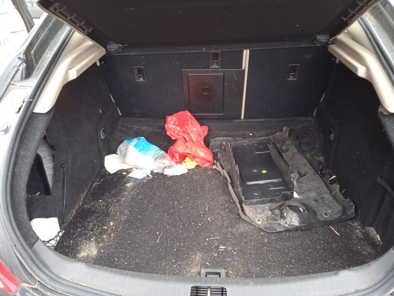 opel insignia a (g09) del año 2010