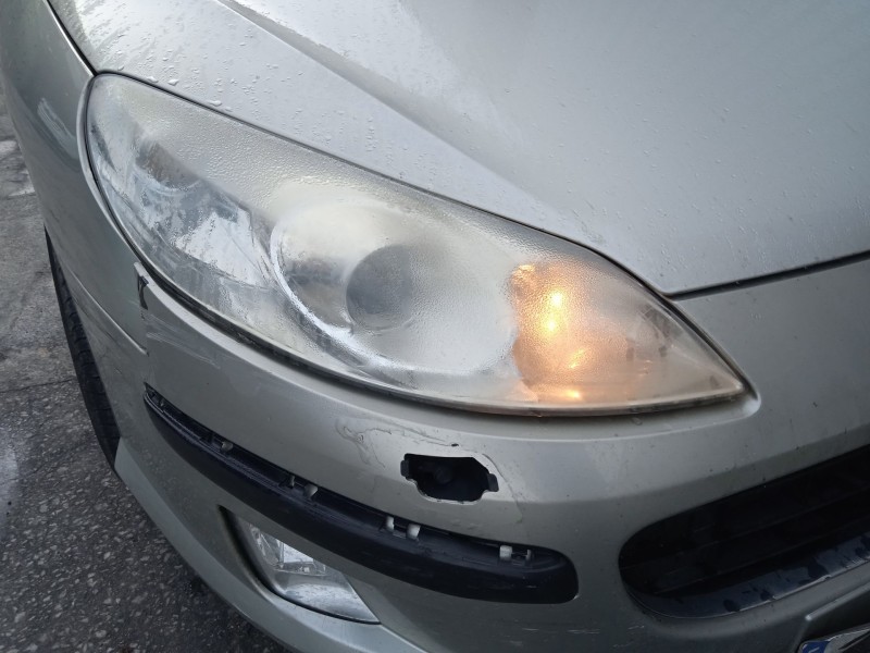 peugeot 407 (6d_) del año 2004