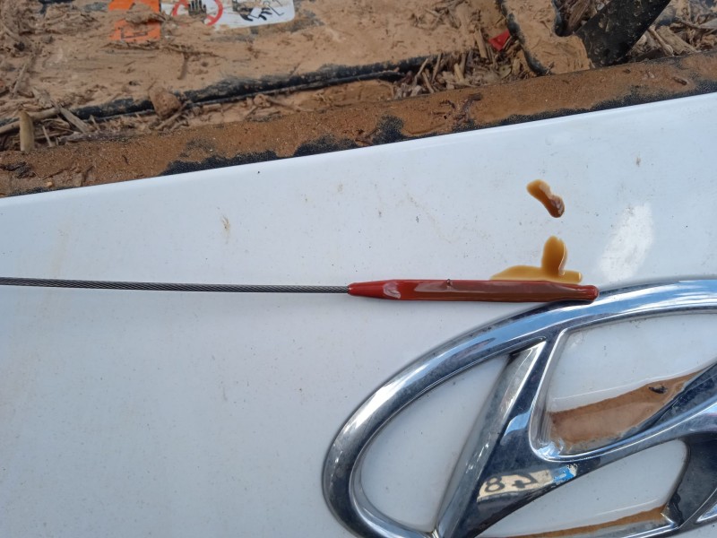 hyundai kona (os, ose, osi) del año 2022