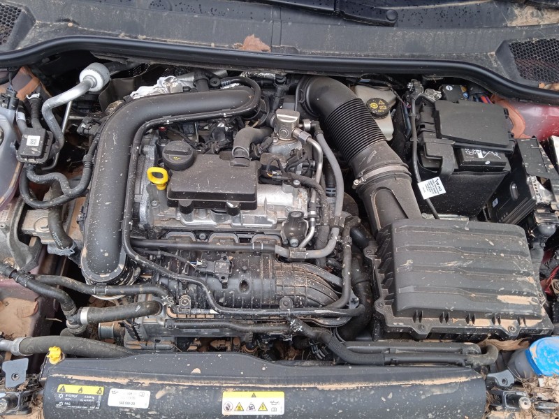 seat ibiza v (kj1, kjg) del año 2024