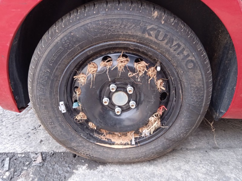 seat ibiza v (kj1, kjg) del año 2024