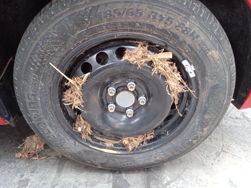 seat ibiza v (kj1, kjg) del año 2024