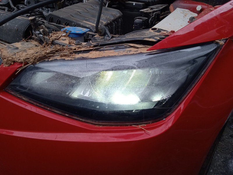 seat ibiza v (kj1, kjg) del año 2024