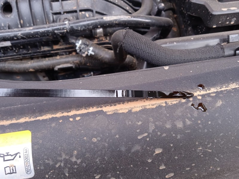 seat ibiza v (kj1, kjg) del año 2024