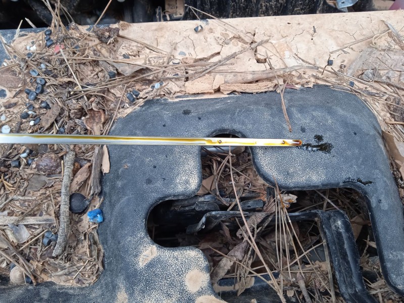 toyota c-hr (_x1_) del año 2023