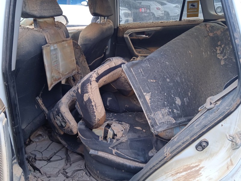 toyota rav 4 v (_a5_, _h5_) del año 2024