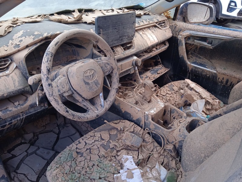 toyota rav 4 v (_a5_, _h5_) del año 2024