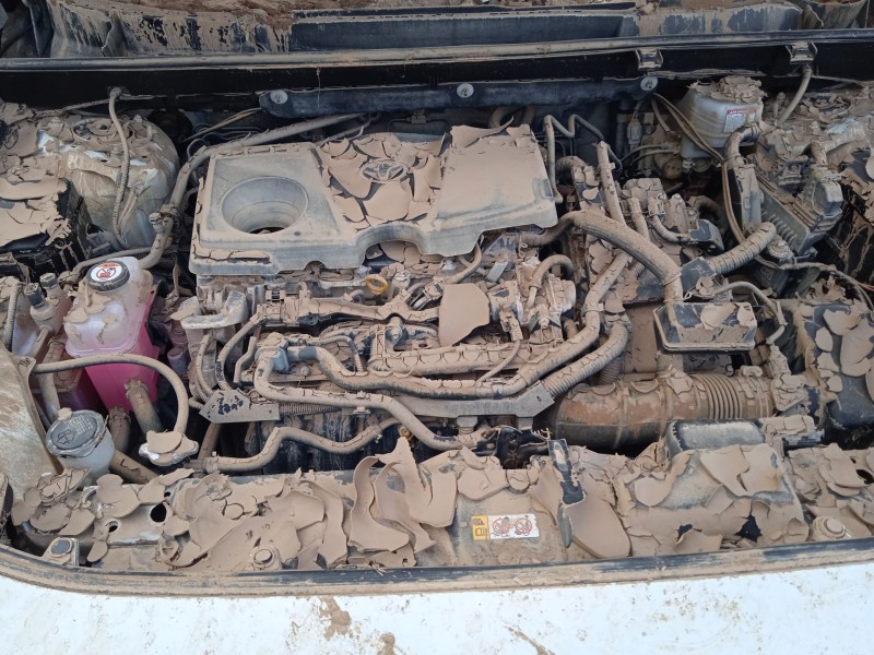 toyota rav 4 v (_a5_, _h5_) del año 2024