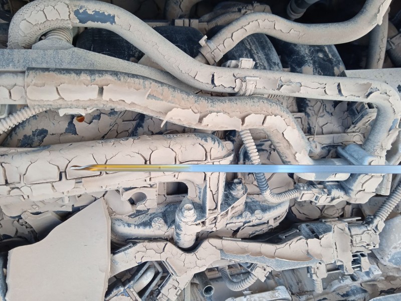 toyota rav 4 v (_a5_, _h5_) del año 2024