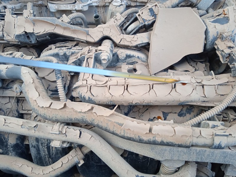 toyota rav 4 v (_a5_, _h5_) del año 2024