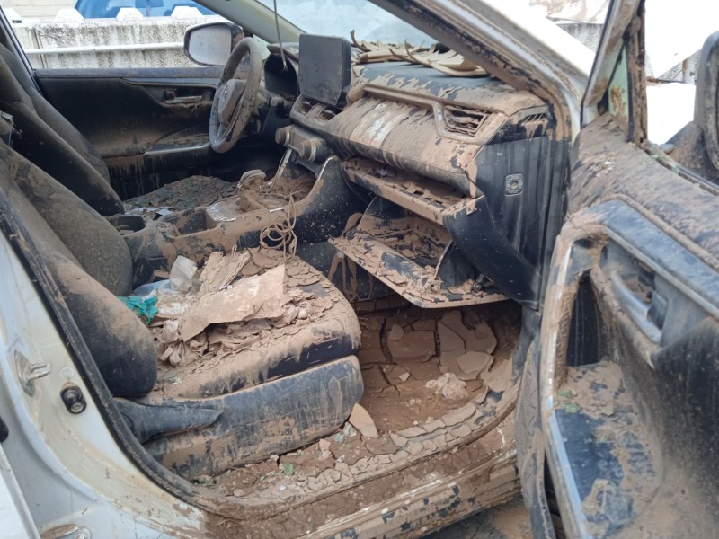 toyota rav 4 v (_a5_, _h5_) del año 2024