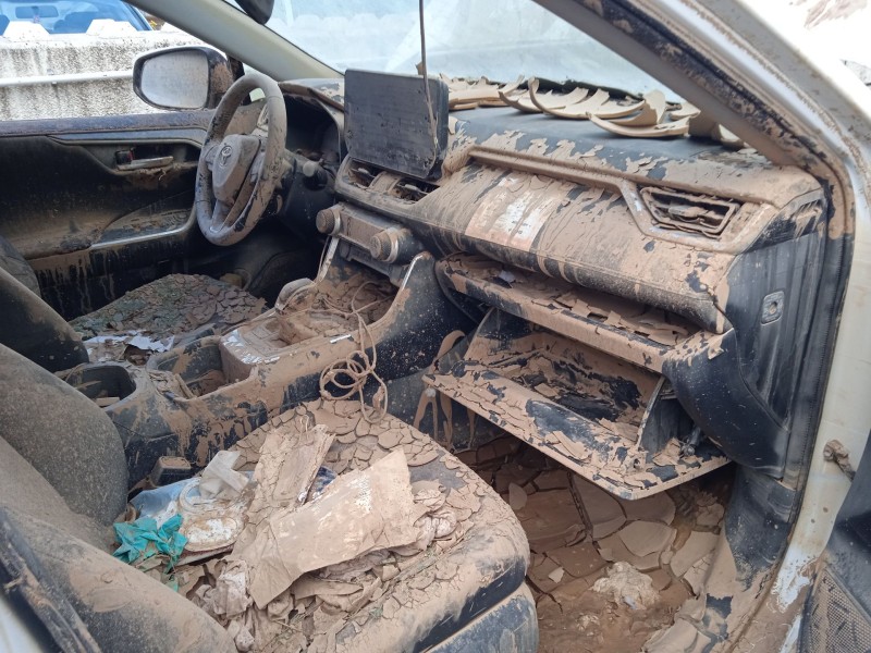 toyota rav 4 v (_a5_, _h5_) del año 2024