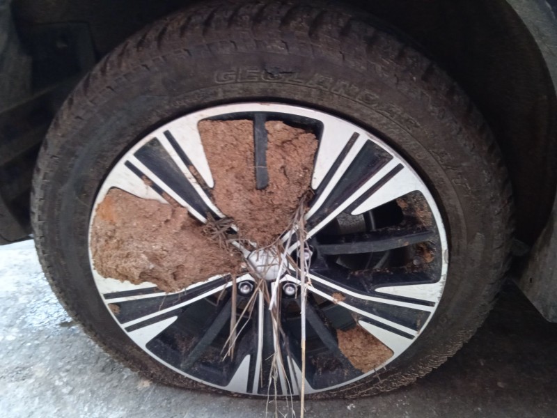 mitsubishi eclipse cross (gk_, gl_) del año 2018