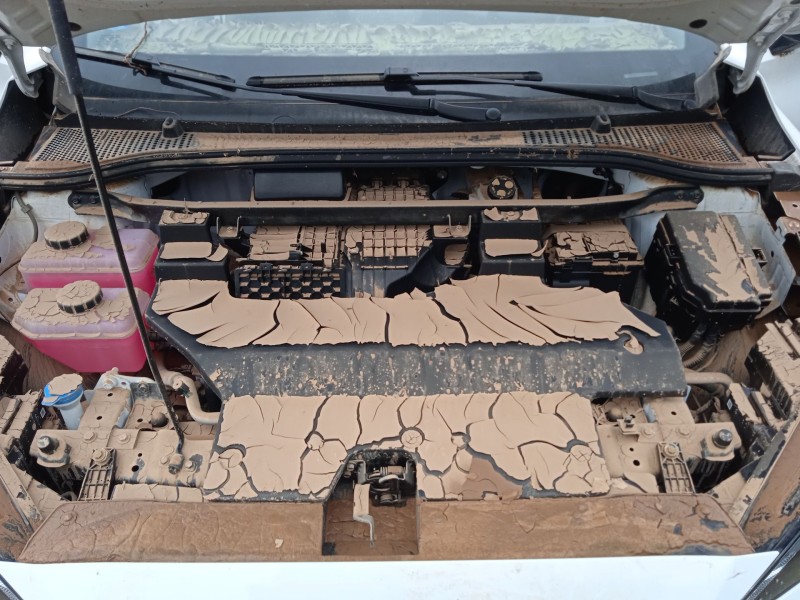 mg mg 4 (eh32) del año 2024