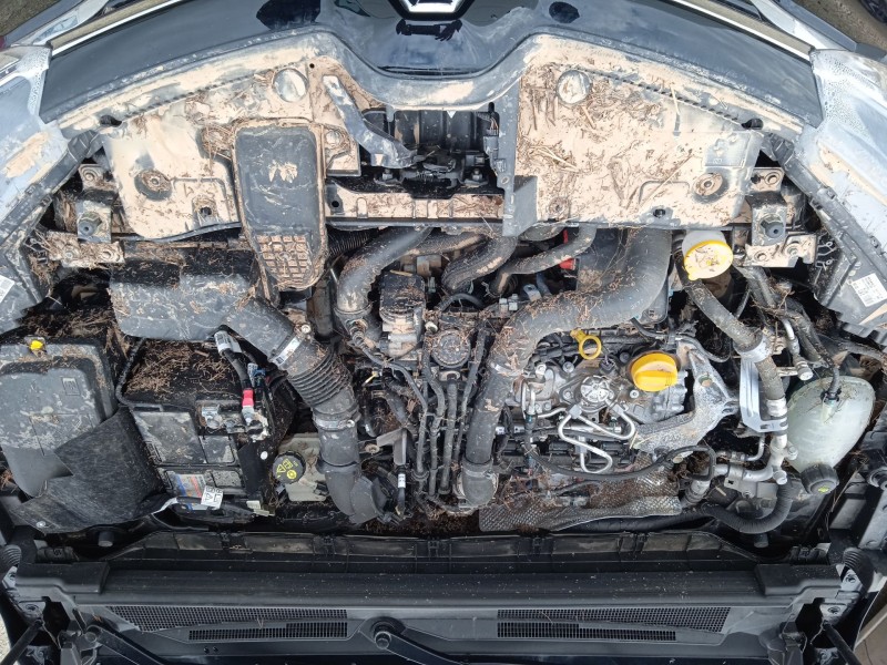 renault arkana i (lcm_, ldn_) del año 2022