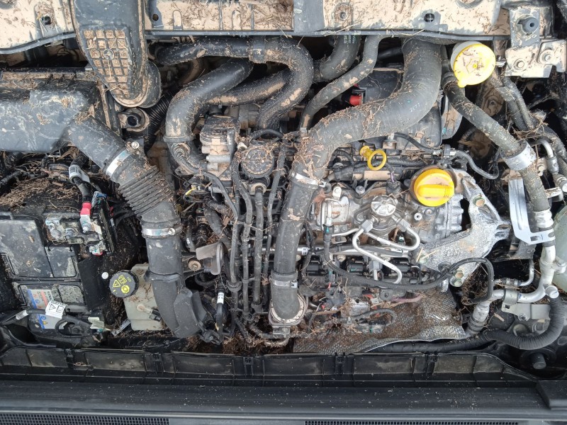 renault arkana i (lcm_, ldn_) del año 2022