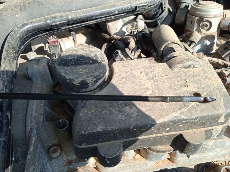 volkswagen t-cross (c11, d31) del año 2022