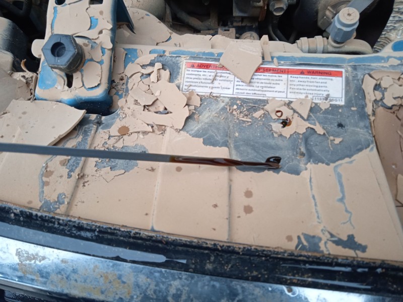 suzuki vitara (ly) del año 2020