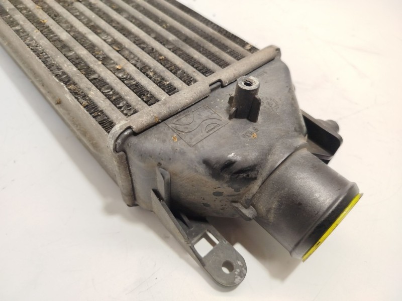 Recambio de intercooler para fiat bravo ii (198_) 1.9 d multijet (198axb1a) referencia OEM IAM 51783791  