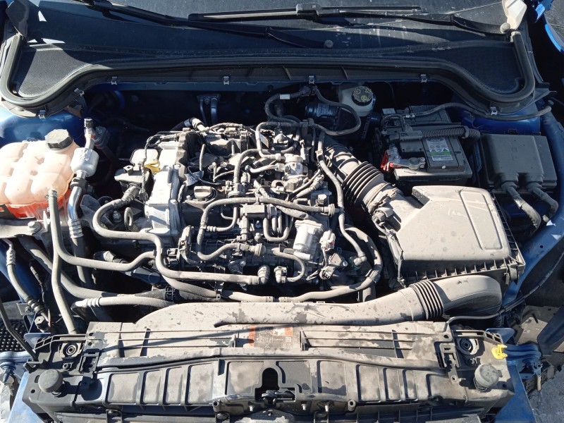 ford focus iv (hn) del año 2021